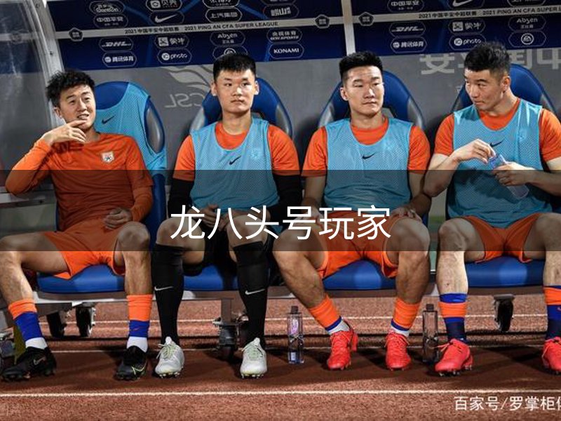 龙八头号玩家介绍
